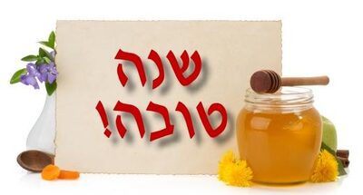SHONA TOVA.jpg