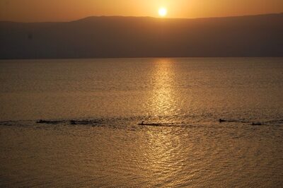swim at sunrise.jpg