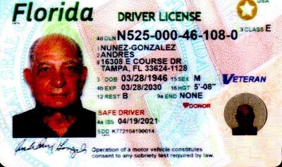 93184481-10790.jpg