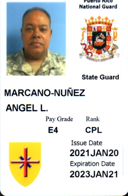 93091433-784.png