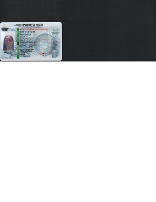 98728138-748.jpg